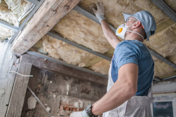 Best Insulation Inspection Services  in Celoron, NY