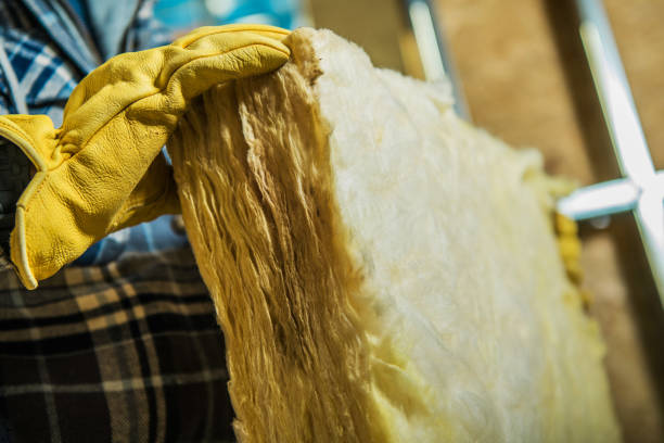 Best Home Insulation Services  in Celoron, NY