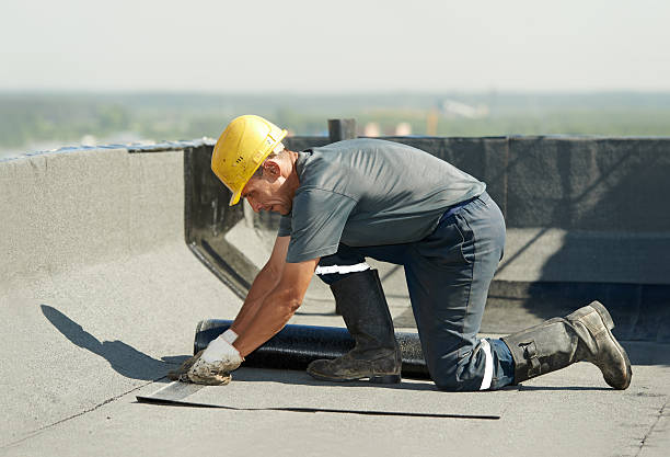 Best Insulation Contractors for Homes  in Celoron, NY