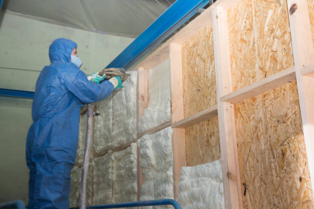Insulation Inspection Services in Celoron, NY