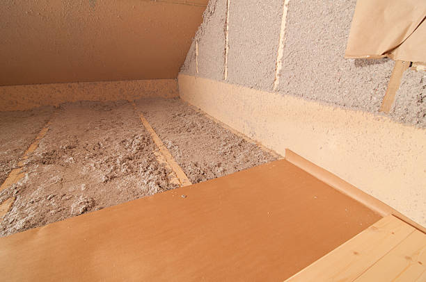 Best Insulation Removal Services  in Celoron, NY