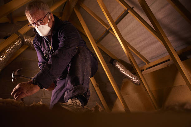 Best Affordable Insulation Services  in Celoron, NY