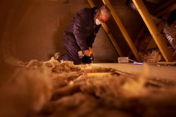 Best Insulation Contractors for Homes  in Celoron, NY