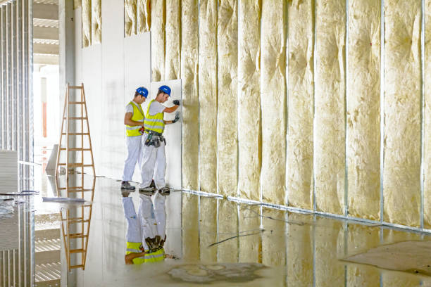 Best Local Insulation Services  in Celoron, NY